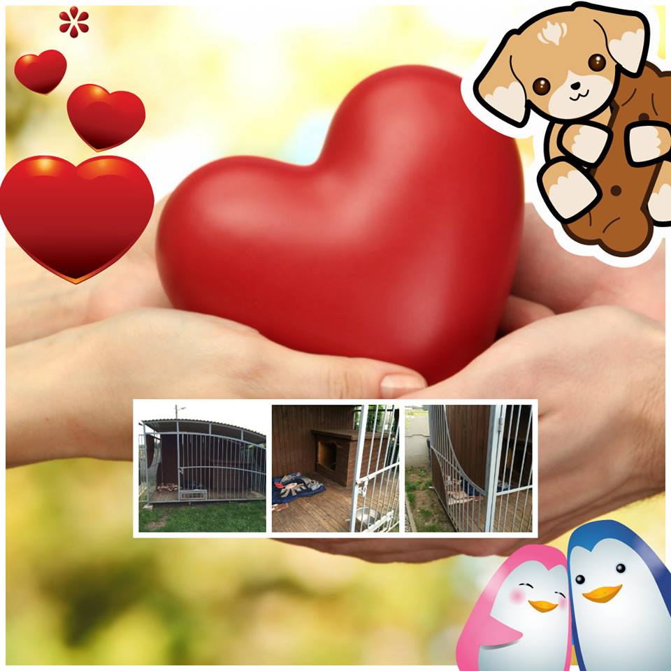 Wspaniały Dzień / Dzień prezentów